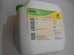 Ovam 25